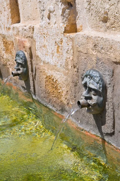 Fontana medievale. Laterza. Puglia. Italia . — Foto Stock