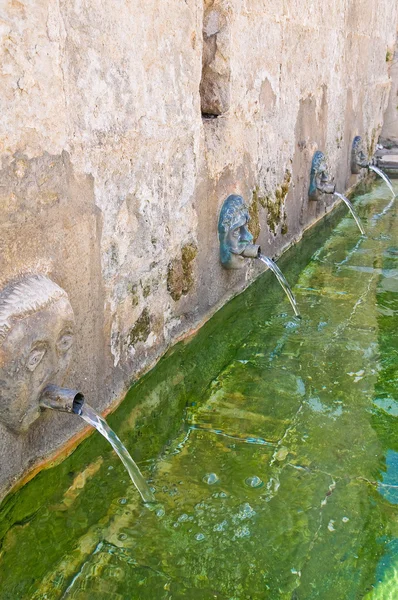 Ortaçağ çeşme. laterza. Puglia. İtalya. — Stok fotoğraf