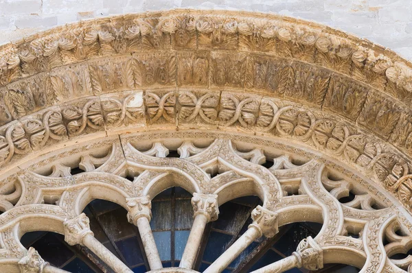 Altamura, Duomo Katedrali. Puglia. Güney İtalya. — Stok fotoğraf