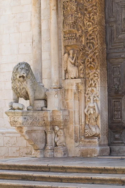 Altamura, Duomo Katedrali. Puglia. Güney İtalya. — Stok fotoğraf