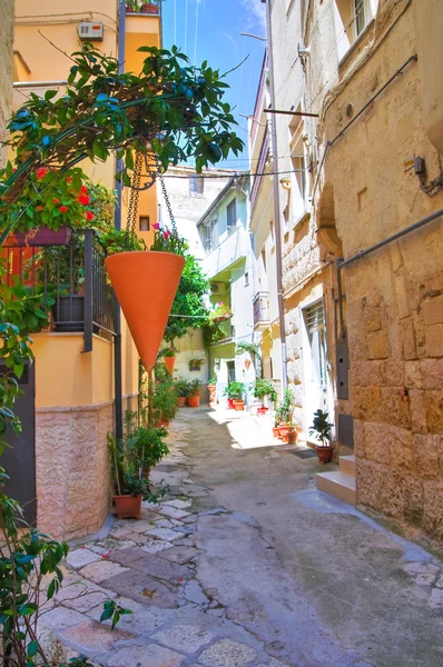 Alleyway. Altamura. Puglia. İtalya. — Stok fotoğraf