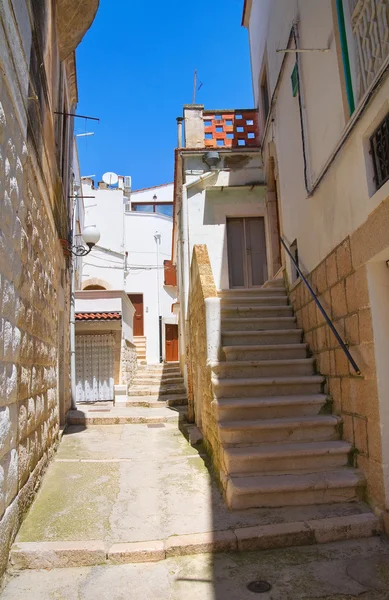 Alleyway. Minervino Murge. Puglia. Italy. — Stock Photo, Image