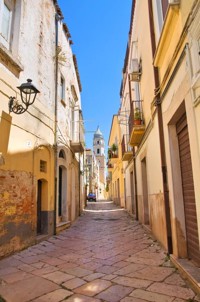 Vicolo. San Severo. Puglia. Italia . — Foto Stock