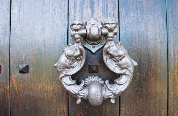 Golpeador de puertas. Viggianello. Basilicata. Italia . —  Fotos de Stock