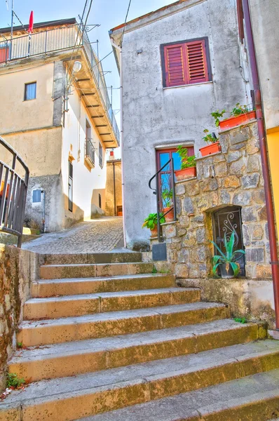 Vicolo. Viggianello. Basilicata. Italia . — Foto Stock