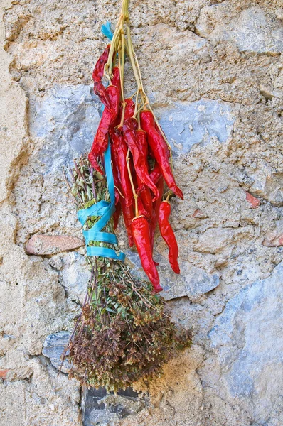 Papryka chili. — Zdjęcie stockowe