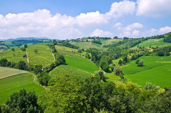 Vue panoramique de Torrechiara. Emilie-Romagne. Italie . — Photo