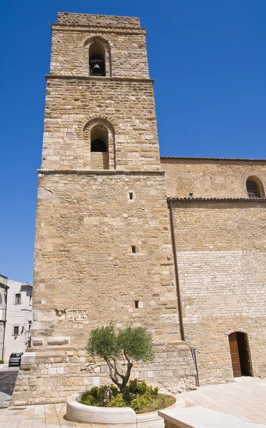 Katedra acerenza. Basilicata. Włochy. — Zdjęcie stockowe