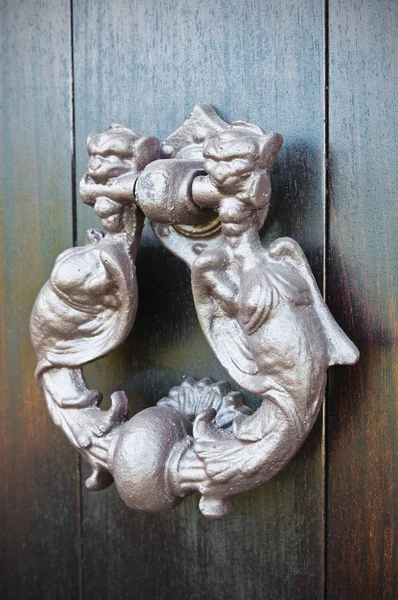 Doorknocker. Viggianello. Basilicata. Italien. — Stockfoto