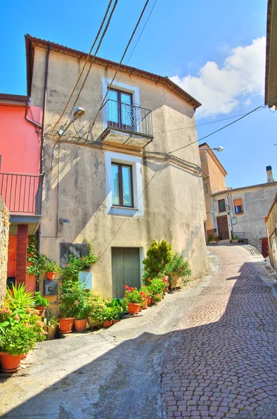 Gasse. viggianello. Basilikata. Italien. — Stockfoto