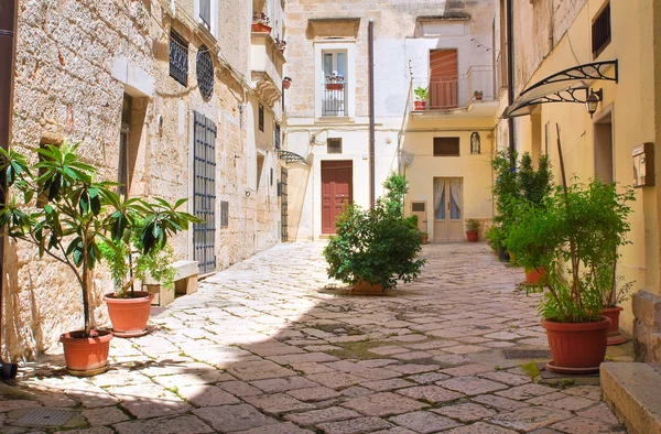 Para o beco. Altamura. Puglia. Itália . — Fotografia de Stock