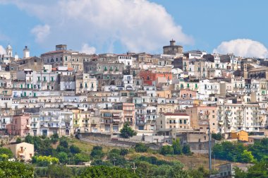 minervino murge panoramik manzaralı. Puglia. İtalya.