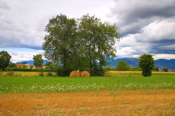 Hay bale field. Umbria. Italy. — Stock Photo, Image