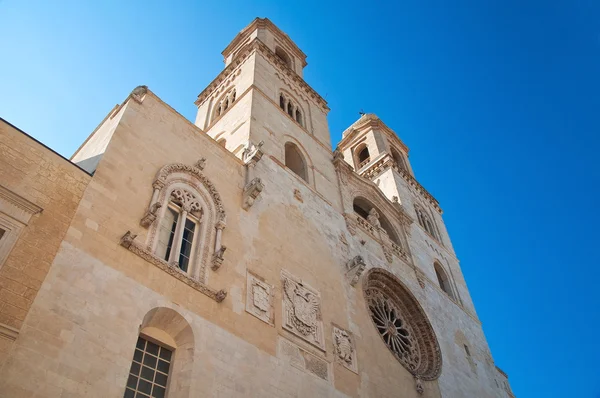 Altamura, Duomo Katedrali. Puglia. İtalya. — Stok fotoğraf