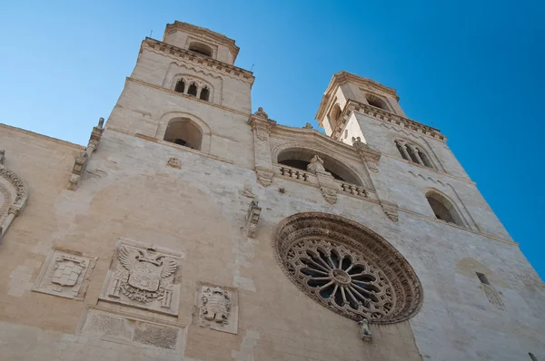 Catedral Duomo de Altamura. Puglia. Italia . —  Fotos de Stock