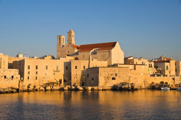 Panoramisch zicht van Giovinazzo. Puglia. Zuid-Italië. — Stockfoto