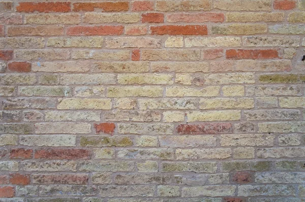 Brickwall. — Stock fotografie