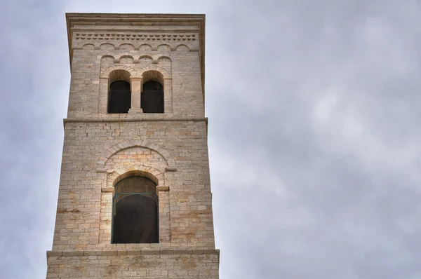 Duomo Church of Molfetta. Puglia. Italy. — Stock Photo, Image