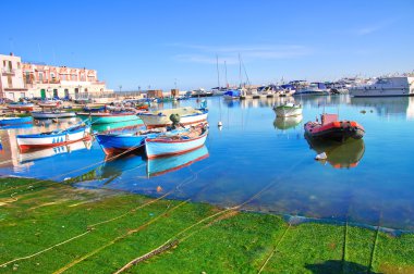 Bisceglie panoramik manzaralı. Puglia. İtalya.