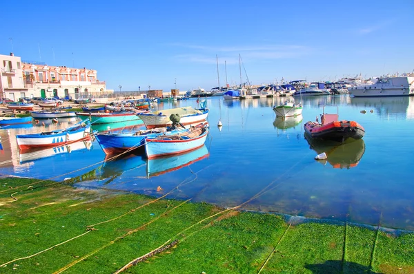 Bisceglie panoramik manzaralı. Puglia. İtalya. — Stok fotoğraf