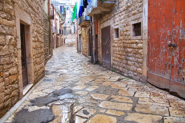 Callejuela. Bisceglie. Puglia. Italia . — Foto de Stock