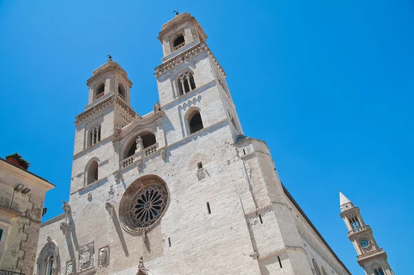 Katedrála Duomo Altamura. Puglia. Itálie. — Stock fotografie