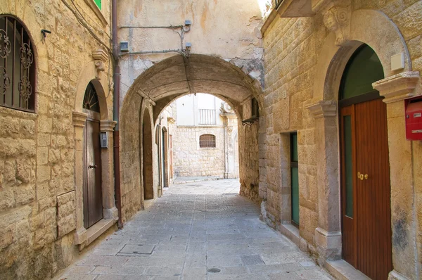 Callejuela. Molfetta. Puglia. Italia . —  Fotos de Stock