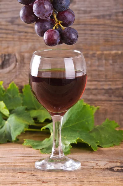 Afbeelding van een tros druiven. — Stockfoto
