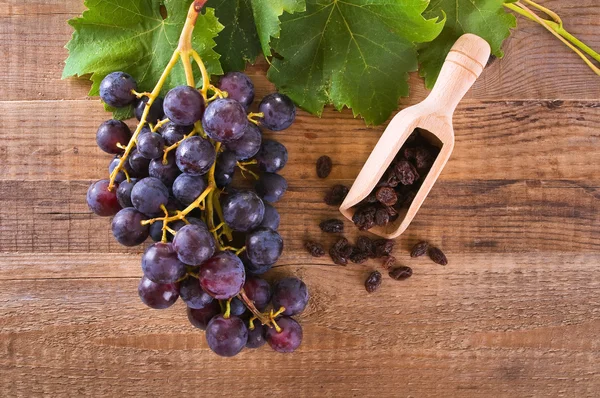 Afbeelding van een tros druiven. — Stockfoto