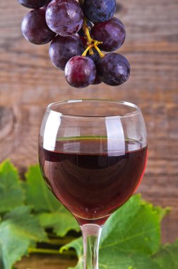 Bir avuç üzüm görüntüsünü.