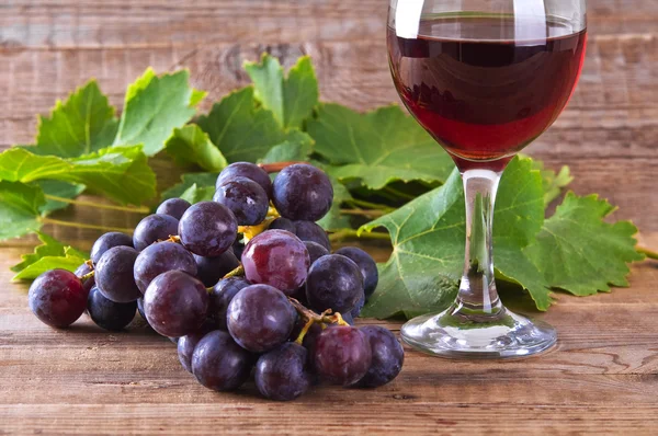 Imagen de un racimo de uvas . —  Fotos de Stock