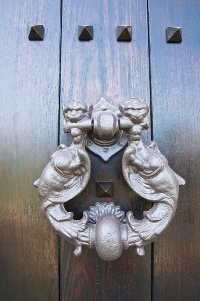 Doorknocker på trädörr. — Stockfoto