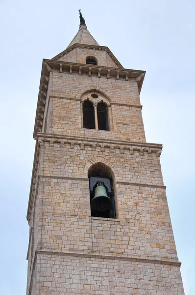Duomo Church of Andria. Puglia. Italien . - Stock-foto