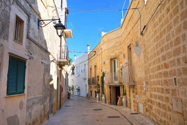 De steeg van Monopoli. Een Puglia. Italië. — Stockfoto