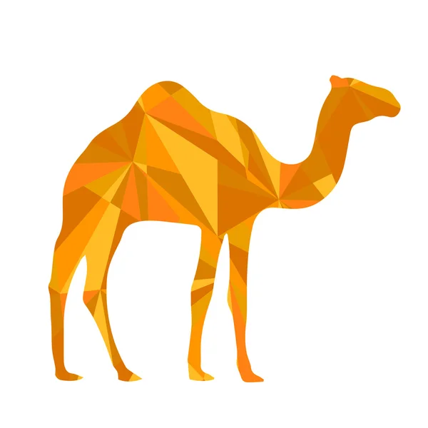 Silhueta de camelo laranja. animal — Fotografia de Stock