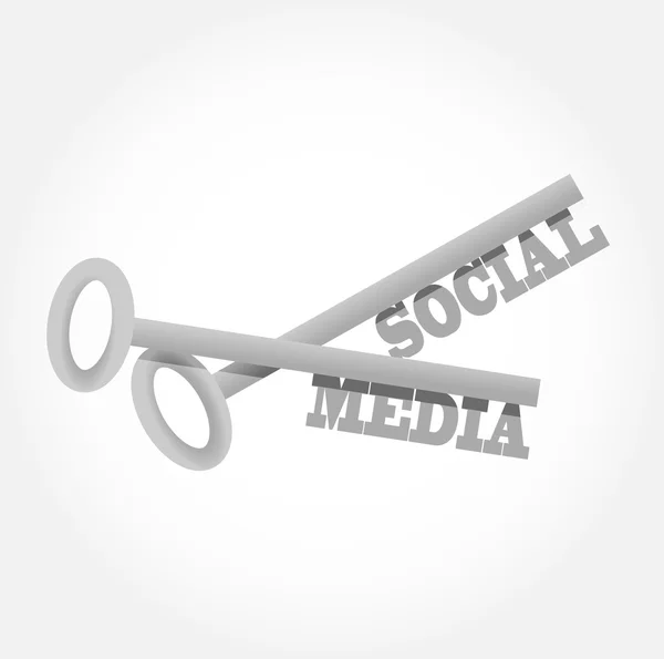 Social Media setzen Schlüssel zur Illustration — Stockfoto