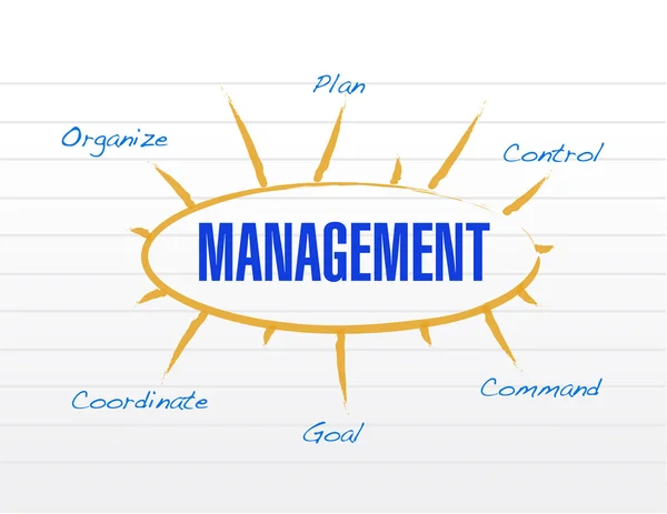 Management Diagramm Modell Illustration Design — Stockfoto
