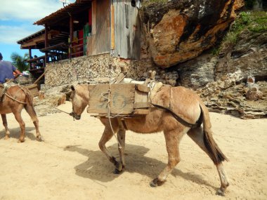 plaj deniz feneri. Morro de Sao Paulo