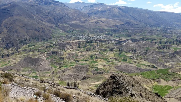 Cañón del Colca uno de los cañones más profundos — Foto de Stock