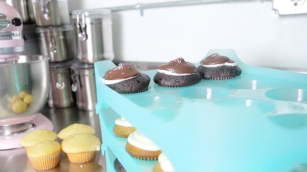 Színkészlet Cupcakes egy állványra — Stock videók