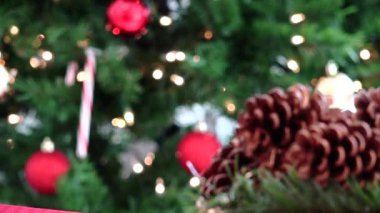 Ağaç ve çam kozalakları Noel dekorasyon