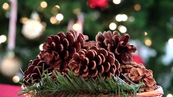 Pini decorazione centrotavola di Natale e albero — Video Stock