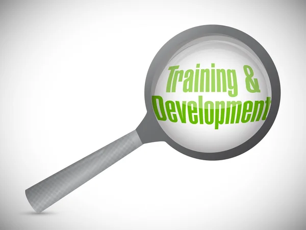 Training and development under review — Stock Photo, Image