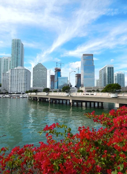 Brickell Key y Brickell Key Drive — Foto de Stock