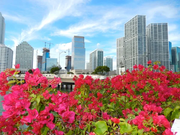 Miami, Florida, Usa Brickell Key och Brickell Key — Stockfoto