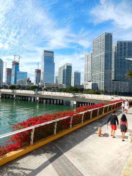 Persone che camminano su un marciapiede lungo la Baia di Biscayne — Foto Stock