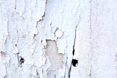 Vintage eski beyaz grunge ahşap boya