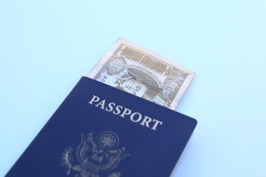 Bize pasaport ve Moğol Tugrik