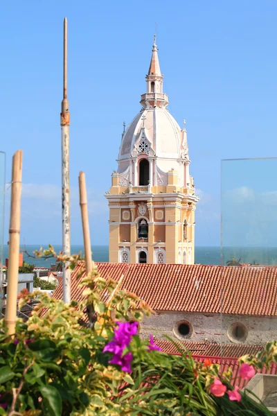 Kathedraal in de Spaanse koloniale stad van Cartagena, Colombia — Stockfoto