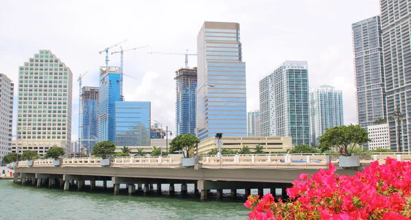 Miami skyline. Brickell key bridge. — Stockfoto